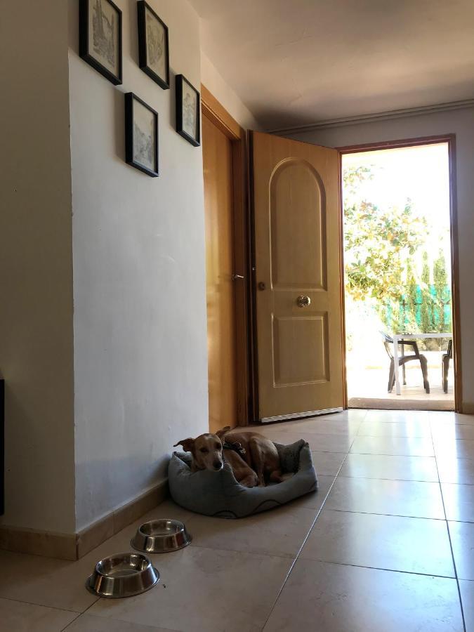 Villa Jazmin Monachil Esterno foto